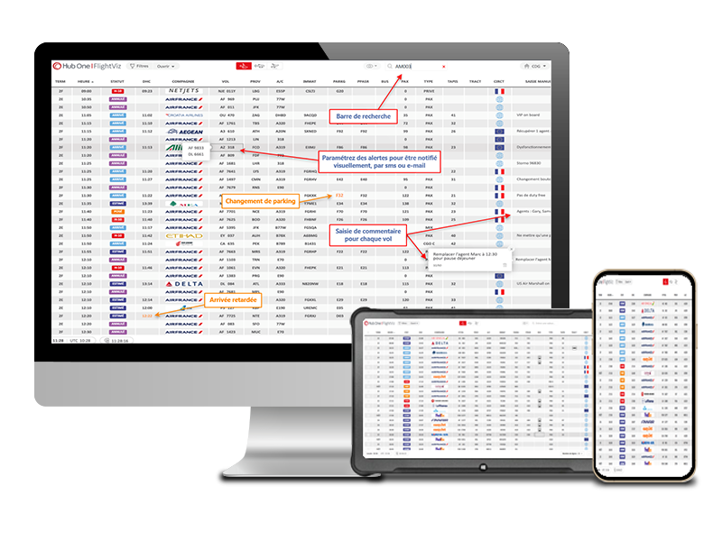 Flux d'information sur les vols Professionnels