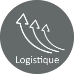 Logistique résiliente